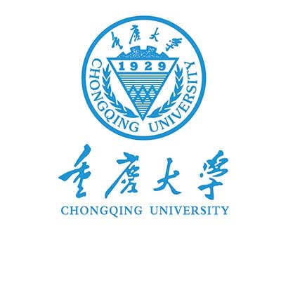 Xibin Opto Electronic в Chongqing University (Чунцинский университет)