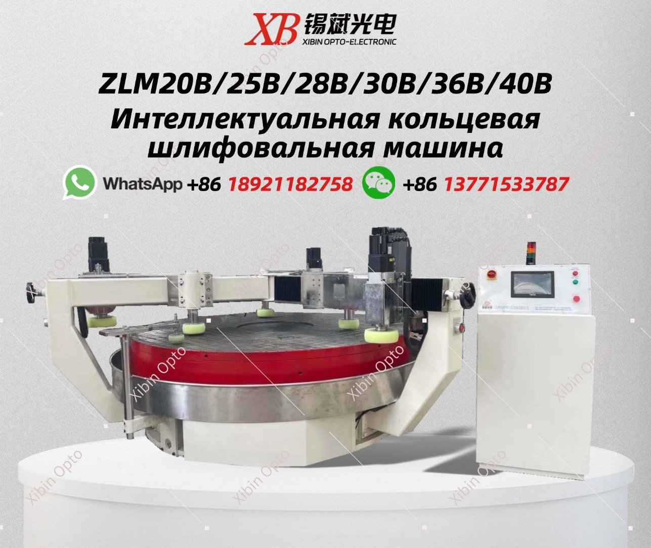 ZLM20B/25B/28B/30B/36B/40B Интеллектуальная кольцевая шлифовальная машина